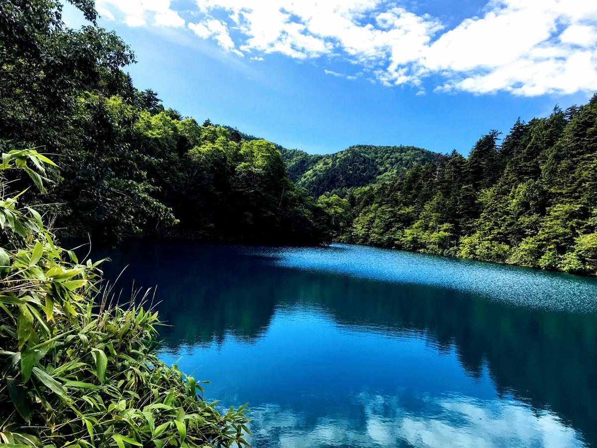 Ryokan Tsubakino 4*